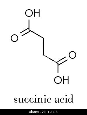 L'acide succinique (acide butanedioïque, l'esprit d'ambre) molécule. Des intermédiaires du cycle de l'acide citrique. Sels et esters connu comme succinates. Formule topologique. Illustration de Vecteur