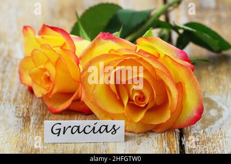 Gracias (merci en espagnol) carte avec une rose colorée sur une surface en bois Banque D'Images