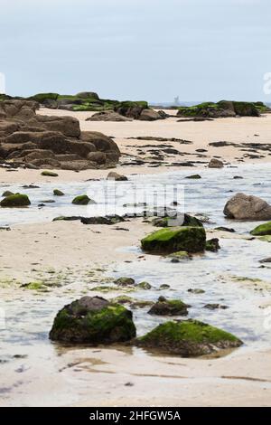 Plage près de St Vaast la Hougue Pointe de Saire Cotentin, France Banque D'Images