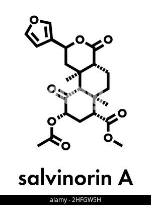 La salvinorine A entheogen molécule. Molécule psychotrope de la Salvia divinorum. Formule topologique. Illustration de Vecteur