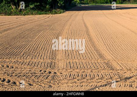 champ fraîchement labouré en automne avec des marques de pneu Banque D'Images