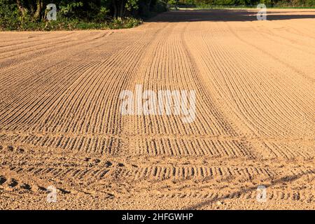 champ fraîchement labouré en automne avec des marques de pneu Banque D'Images