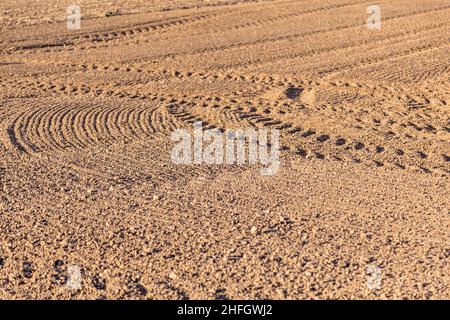 champ fraîchement labouré en automne avec des marques de pneu Banque D'Images