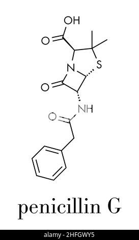La pénicilline G (benzylpenicillin) molécule d'antibiotiques. Utilisé pour traiter des infections bactériennes ; appartient à la classe des bêta-lactamines. Formule topologique. Illustration de Vecteur