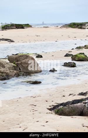 Plage près de la Pointe de Saire, St Vaast la Hougue Cotentin, Normandie France Banque D'Images