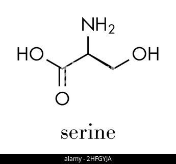 Sérine (l-sérine, Ser, S) molécule d'acides aminés. Formule du squelette. Illustration de Vecteur