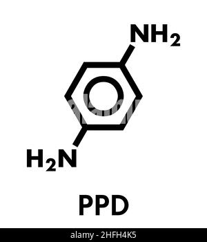 molécule de colorant capillaire p-phénylènediamine (PPD). Précurseur également dans la synthèse des polymères. Allergène de contact connu, possiblement cancérigène. Formule squelettique. Illustration de Vecteur