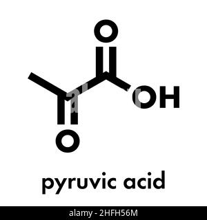 L'acide pyruvique (pyruvate) molécule. Intermédiaire important dans un certain nombre de processus biochimiques. Formule topologique. Illustration de Vecteur