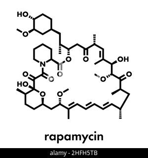 La rapamycine (sirolimus) immunosuppresseur molécule. Utilisé pour prévenir le rejet de greffe et en revêtement de stent coronaire. Formule topologique. Illustration de Vecteur