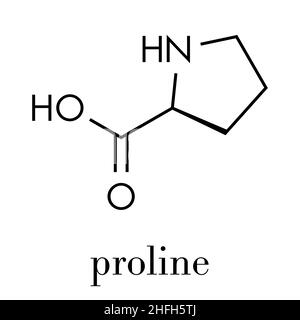 Molécule d'acide aminé Proline (l-proline, Pro). Formule du squelette. Illustration de Vecteur