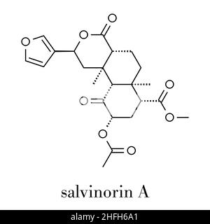 La salvinorine A entheogen molécule. Molécule psychotrope de la Salvia divinorum. Formule topologique. Illustration de Vecteur