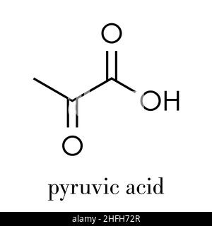 L'acide pyruvique (pyruvate) molécule. Intermédiaire important dans un certain nombre de processus biochimiques. Formule topologique. Illustration de Vecteur