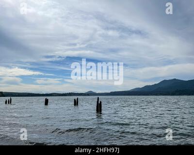 Le lac Quinault est un lac sur la péninsule olympique, dans l'ouest de l'État de Washington.Il est situé dans la vallée du Quinault sculptée par la glace de la Rive du Quinault Banque D'Images