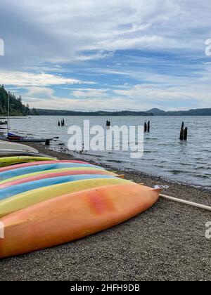 Le lac Quinault est un lac sur la péninsule olympique, dans l'ouest de l'État de Washington.Il est situé dans la vallée du Quinault sculptée par la glace de la Rive du Quinault Banque D'Images