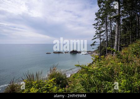 Kalaloch Beach 4 est l'un des meilleurs endroits du parc national olympique pour explorer les bassins de marée. Banque D'Images