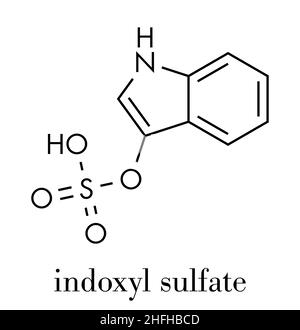 Molécule de sulfate d'indoxyle.Métabolite du tryptophane.Formule squelettique. Illustration de Vecteur