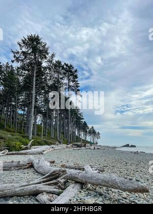 Ruby Beach est la plage la plus au nord des plages du sud dans la partie côtière du parc national olympique, dans l'État américain de Washington. Il est situé Banque D'Images