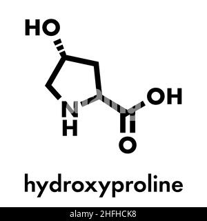 Acide aminé hydroxyproline (Hyp). Composant essentiel du collagène. Formule du squelette. Illustration de Vecteur