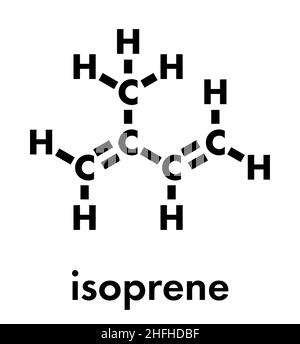 Bloc de construction en isoprène, caoutchouc (polyisoprène) (monomère). Formule du squelette. Illustration de Vecteur