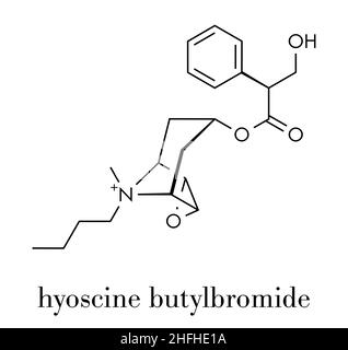 L'hyoscine butylbromide (Butylscopolamine, scopolamine butylbromide, butylhyoscine) molécule pharmaceutique. Utilisé dans le traitement de l'abdomen et les crampes menstruelles. Illustration de Vecteur