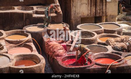 Fès, Maroc - avril 2018 : des tanneurs travaillant dans les pots de teinture de Chouara Tannery peignant des cuirs d'animaux.Puits de pierre ronds remplis de colorant ou de liq. Blanche Banque D'Images