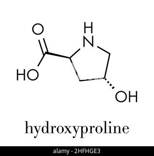 Acide aminé hydroxyproline (Hyp). Composant essentiel du collagène. Formule du squelette. Illustration de Vecteur