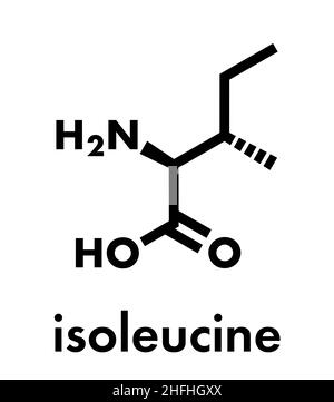Isoleucine (L-isoleucine, Ile, I) molécule d'acides aminés. Formule du squelette. Illustration de Vecteur