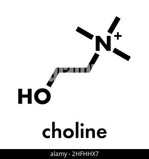 Molécule nutritive essentielle de choline.Formule squelettique. Illustration de Vecteur