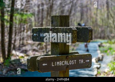Shenandoah National Park, va - Mai 79 2018:marqueur de sentier pour White Oak LimberLost Banque D'Images