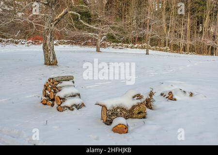 Bois de chauffage coupé pour le poêle à bois dans un verger de pomme à New Salem, ma Banque D'Images
