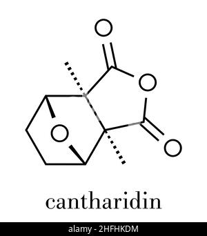 Cantharidine cloque la molécule de coléoptère poison.Sécrété par des coléoptères de boursouflure, la mouche espagnole, les coléoptères de soldat, etc. Formule squelette. Illustration de Vecteur