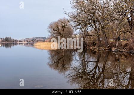 Reflet pittoresque de la végétation au lac Schliersee en Bavière, Allemagne Banque D'Images