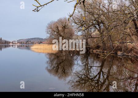 Reflet pittoresque de la végétation au lac Schliersee en Bavière, Allemagne Banque D'Images