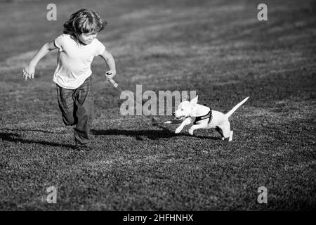 Garçon courant et jouant avec un chien sur la pelouse dans le parc.Animal de compagnie avec propriétaire.Le chien a soulevé la queue. Banque D'Images