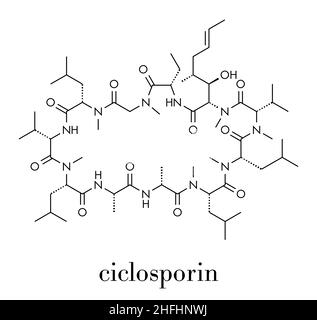 Ciclosporin (cyclosporine) immunosuppresseur molécule. Utilisé pour prévenir le rejet d'organes transplantés et pour un certain nombre d'autres utilisations. Skeletal Illustration de Vecteur