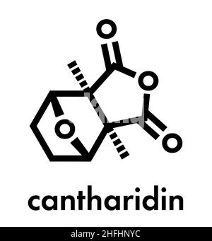 Cantharidine cloque la molécule de coléoptère poison.Sécrété par des coléoptères de boursouflure, la mouche espagnole, les coléoptères de soldat, etc. Formule squelette. Illustration de Vecteur