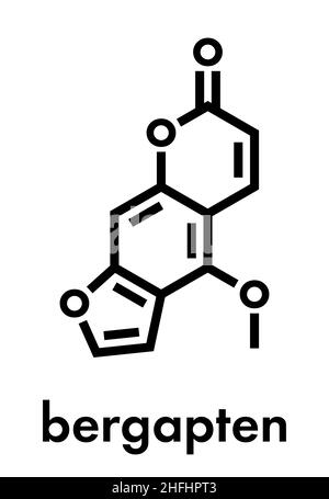 Molécule de bergapten ou de 5-méthoxypsoralen.Photosensibilisant présent dans plusieurs plantes, responsable de la phytophotodermatite.Formule squelettique. Illustration de Vecteur