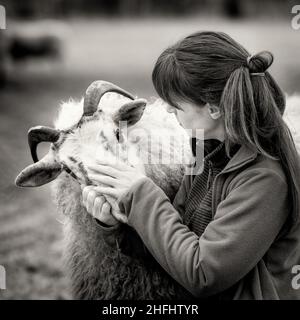 La bergère végétarienne.Images d'une femme du nord de l'Écosse qui s'occupe d'un petit troupeau de moutons, dont beaucoup ont des problèmes d'âge et de santé. Banque D'Images