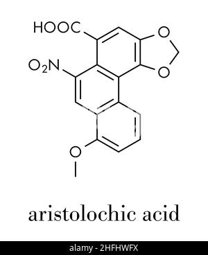 L'usine d'acide aristolochique molécule poison. A cancérigène et endommager les reins (néphrotoxique) Propriétés. On trouve dans l'aristoloche et Asarum herbes, souvent Illustration de Vecteur