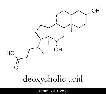 Molécule d'acide biliaire désoxycholique.Également utilisé comme médicament.Formule squelettique. Illustration de Vecteur