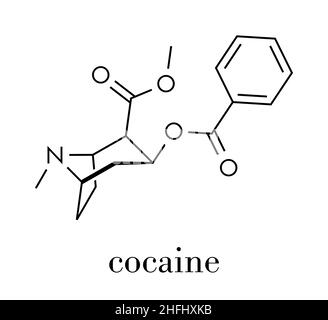La cocaïne drogue stimulante, la molécule. Utilisé comme sel ou comme base libre (Crack, Freebase). Formule topologique. Illustration de Vecteur