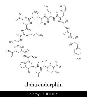 Alpha-endorphine peptide opioïde endogène molécule. Formule topologique. Illustration de Vecteur