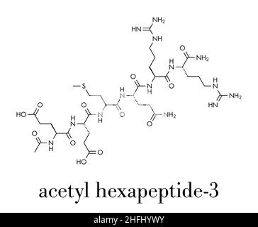 Molécule d'acétyl hexapeptide-3 (argiligne).Fragment de peptide de SNAP-25.Utilisé dans les cosmétiques pour traiter les rides.Formule squelettique. Illustration de Vecteur