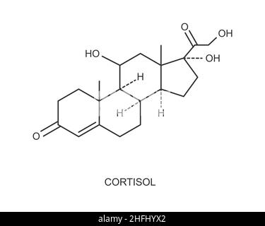 Icône d'hormone de cortisol.Structure moléculaire chimique de l'hydrocortisone isolée sur fond blanc.Illustration vectorielle. Illustration de Vecteur