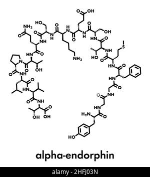 Alpha-endorphine peptide opioïde endogène molécule. Formule topologique. Illustration de Vecteur