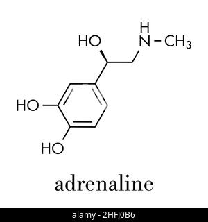 Molécule de neurotransmetteur d'adrénaline (adrénaline, épinéphrine). Utilisé comme médicament dans le traitement de la formule squelette anaphylactique. Illustration de Vecteur