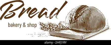 Pain rond dessin main croquis gravure style d'illustration Illustration de Vecteur