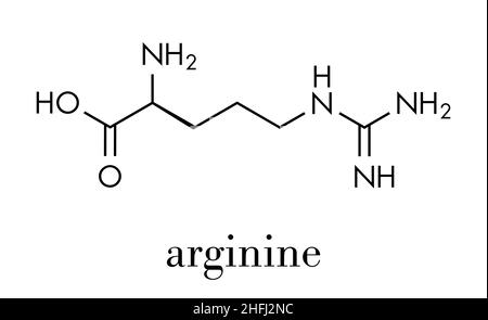 Arginine (L-arginine, Arg, R) molécule d'acides aminés. Formule du squelette. Illustration de Vecteur