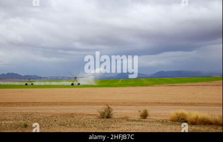 Système d'irrigation sur les terres agricoles un grand jet d'eau pour irriguer le champ Banque D'Images