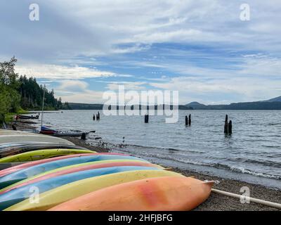 Le lac Quinault est un lac sur la péninsule olympique, dans l'ouest de l'État de Washington.Il est situé dans la vallée du Quinault sculptée par la glace de la Rive du Quinault Banque D'Images